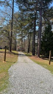 Milly Villy Lake House - 4