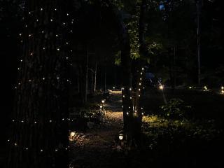 Cozy Ozark Cottage Near Spring River - 3