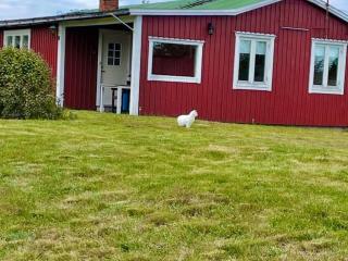 4 person holiday home in BORGHOLM - 6