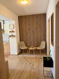 Traunzeit Apartment - 1