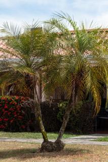 Paradise Villas 2BR Pool walk to town & beach - 9