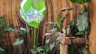 Instagenic bamboo villa - 5
