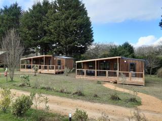 Chalet climatisé, animaux admis - 6 pers. - API-1-52-2274 - 0