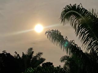 KhaoSok Malin Glamping - 3