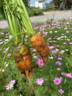 Ninh Binh Smile Homestay - 4