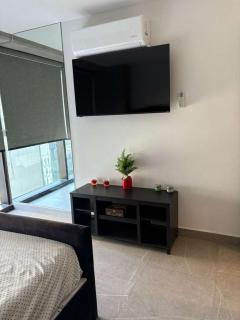 Apartment in The Park Toreo - 1