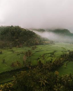 Luxury Sawah Bamboo House - Kosay Bali - 6