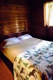 Cedar at Rainier Lodge (0.4 m from Mt.Rainier) - 7