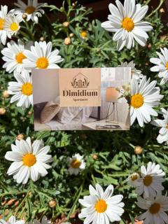 Dimidium Apartment - 2