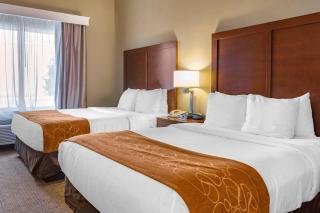 Comfort Suites Jonesboro University Area - 8