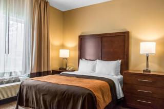Comfort Inn Lancaster County - 4