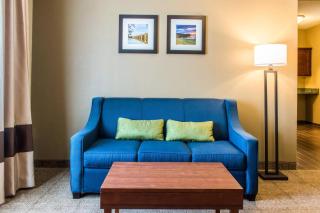 Comfort Inn Lancaster County - 3