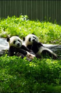 CYBO Sation SSAW Hotel Chunxi Road Tianfu Square Chengdu - 9