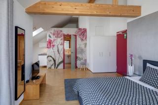 SuSi Agricola Apartments - 5