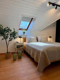 Landhaus Wulfenia - APARTMENT KLAGENFURT - Private Sauna, Smart-TV, Air Conditioning, Free Parking - 9