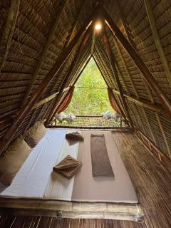 Ecocio Jungle Retreat - 7
