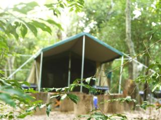The Yala Camping - 3