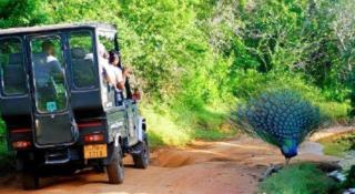The Yala Camping - 1