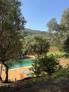 Maison neuve de haut standing en pleine campagne - 9