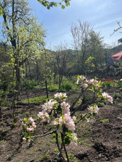 Narek Guesthouse Goris - 8