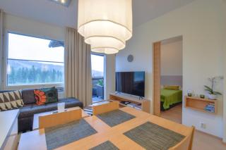 TAHKOVUORI CHALETS B 604 - 5