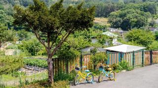 Namyangju Cozy Hill Spa Pension - 1
