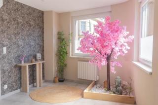 Le Sakura - Calme - Parking - Confort - 6