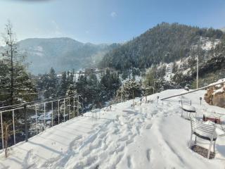 Vikas Hotel And Restaurant - 4