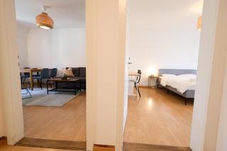Simple & Comfy Apartment in Zürich - 2