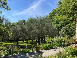 Appartamento con piscina - 0