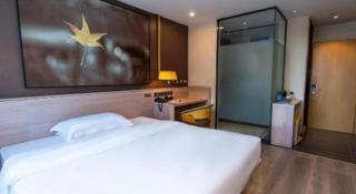 IU Hotel Zhengzhou Wenhua Road Sanquan Road Branch - 5