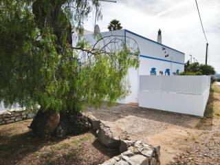 Quinta do Medronhal Faro - casas de férias medronhal - Faro - 4