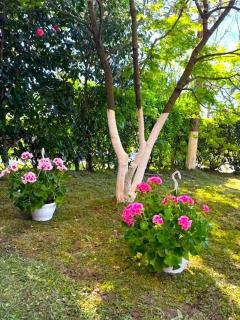Dreamland Oasis Chakvi Block 3 Apartments 04-05 - 1