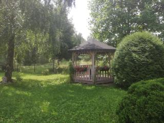 Leśny Apartament III - 1