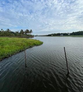 Harbour villa - 1