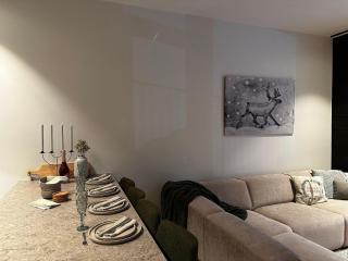 Fjällen Levi No12 - Cozy Mountain Apartment - 3