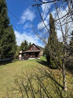 Mountain Cabin Retreat - Terrace, BBQ, Hot Tub - Lunca Bradului - 0