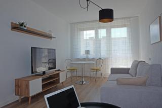 A spacious apartment for holidays and weekends - 0
