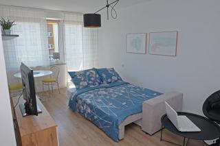 A spacious apartment for holidays and weekends - 3