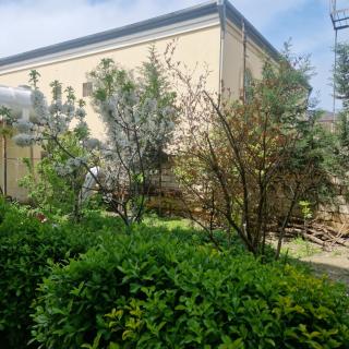 An economic studio room in the garden - 9