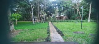 Bosque São Francisco - 4
