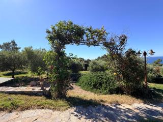 Villa Isola Rossa con Piscina -  - 9