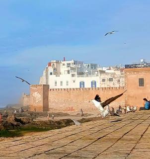 Maison Blanche Essaouira - Maison d'hôtes-Suite Sidi Kaouki - 6