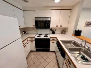 Rivergreen Studio apt Kitchen, Murphy Bed - 8