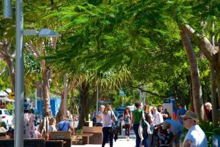 Unit 3 35 Noosa Parade TABI Beautifully Renovated North Facing 2 bedrooms - 2