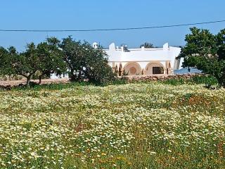 Maison Blanche Essaouira - Chambre d'hôtes - Suite Zen - 3