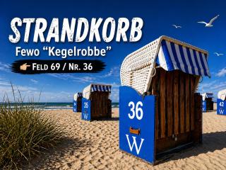 ToNi`s Kegelrobbe - 9
