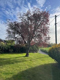 Highfields - 8
