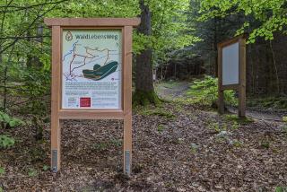 Wohlfühlurlaub in Obernsees - 2