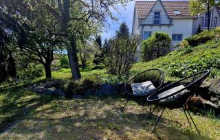 Modernes Studio im Geo-Naturpark Bergstrasse-Odenwald - 2